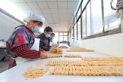 备战春节 传统特色美食酥糖加工进入繁忙时节