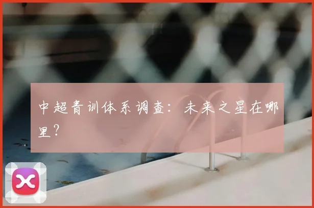 中超青训体系调查:未来之星在哪里?